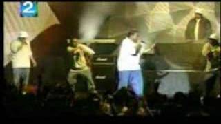 don omar  pobre diabla live [upl. by Simdars807]