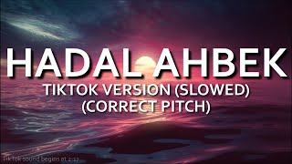 Hadal Ahbek TikTok Version Slowed CORRECTED PITCH  Issam Alnajjar [upl. by Lallage]