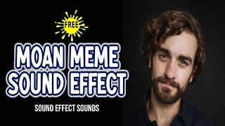 Moan Meme for 1 hour  Sound Effect Sounds [upl. by Kinsley]