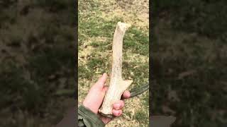 Bear Newcomb making a primitive knife using Georgetown chert and a deer antler fueledbynature [upl. by Ileana895]