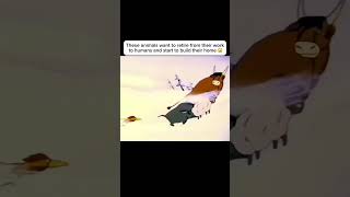 animals have feelings too anime movieexplainedinhindi movie shorts [upl. by Sarette]