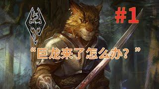 【天际见闻录】“如何应对巨龙袭击？”（虎人商队） [upl. by Eneloc472]