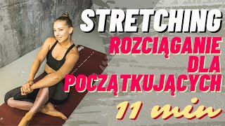 Stretching dla początkujących rozciąganie  Paula Piotrzkowska [upl. by Akaenahs]