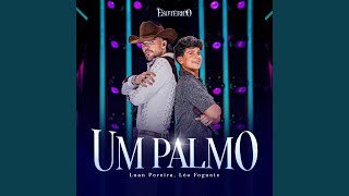 UM PALMO Ao Vivo [upl. by Erdnaek]