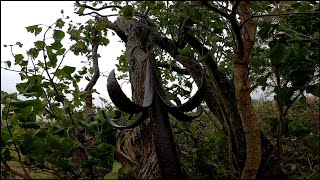 ABANDONED Scottish 1800s School  Lost in WILD Highlands [upl. by Stets]