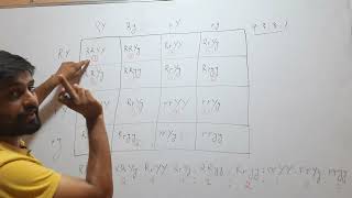 What is Genotypic Ratio of Dihybrid Cross [upl. by Warden]