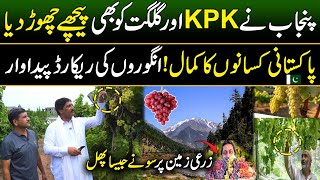 Good News For Pakistan  Grapes Farming in Pakistan  Billion Dollars Industry [upl. by Grayson]