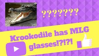 Krookdile MLG GLASSES  3 Pokemon Brick Bronze PvP [upl. by Hughett]