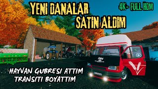 TARLAMI EKIME HAZIRLADIM HAYVAN GUBRESI ATIMI YAPIP  KURBANLIK DANA SATIN ALDIK  4K FULL HDM [upl. by Airres589]