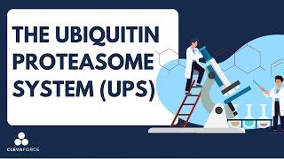 The UbiquitinProteasome System UPS​ [upl. by Mahgirb567]