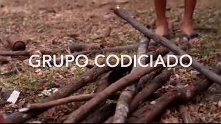 Paso a paso  Grupo codiciado [upl. by Ahsircal]