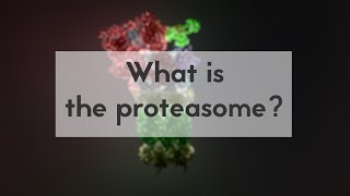 What is the proteasome [upl. by Madalena]