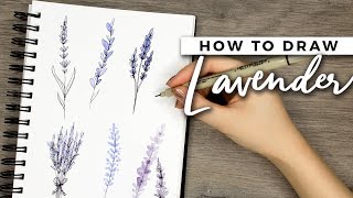 How to Draw Lavender Flowers  DOODLE WITH ME  Tutorial [upl. by Verada583]