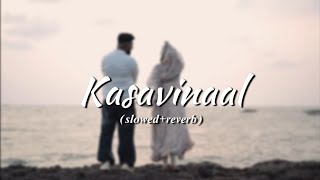 Kasavinal slowedreverbHanan Shaah Song  Song Inspired Mallu [upl. by Okajima392]