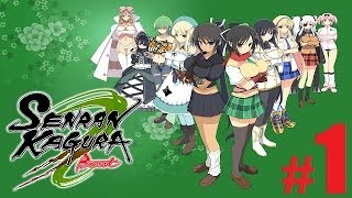 Senran Kagura Burst Nintendo 3DS  English Language Version  Gameplay 1 Intro amp Training [upl. by Haem]