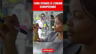 Programme de stage à lUnion Européenne [upl. by Ahsilahs]