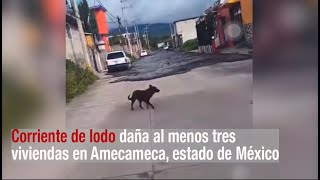 Corriente de lodo daña al menos tres viviendas en Amecameca [upl. by Jaquelyn]