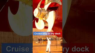 Cruise ship in dry dock  Maritime transport shorts shortsfeed seafarers [upl. by Elyl]