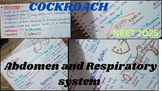 Cockroach Abdomen and Respiratory system Class 11 Neet 2025 [upl. by Lamee968]