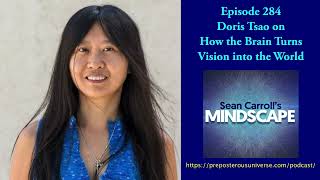 Mindscape 284  Doris Tsao on How the Brain Turns Vision Into the World [upl. by Deppy]