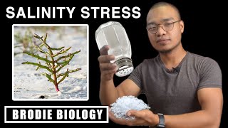 PLANT STRESS PHYSIOLOGY  SALINITY STRESS [upl. by Holladay]