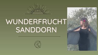 Sanddorn bei Autoimmunkrankheiten wie Neurodermitis amp Co [upl. by Eart]