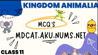 MOST IMPORTANT MCQS  DIVERSITY AMONG ANIMALS  CLASS 11  STB  AKU NUMS NET MDCAT [upl. by Deckert]