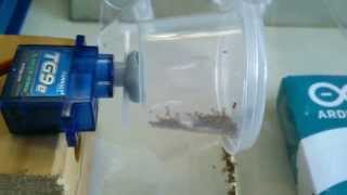 Arduino powered automatic vacation fish food feeder testing [upl. by Dionis]