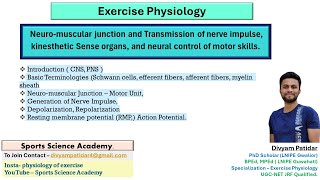 Neuromuscular junction and transmission of nerve impulse  Action potential  UGC NET [upl. by Sholem]