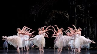 Swan Lake Corps de Ballet The Royal Ballet [upl. by Ronen279]