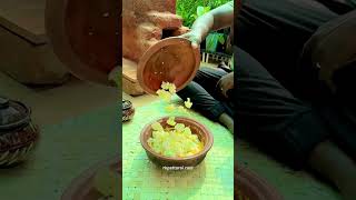 இதெல்லாம் இவ்ளோ ஈஸியா வளக்க முடியுமா  MY FAVOURITE RECEIPE [upl. by Fernyak]