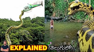 Piranhaconda 2012 Film Explained in Telugu  BTR creations [upl. by Nujra336]