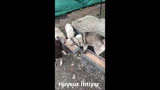 HAYAT PAYLAŞINCA GÜZEL 🥰🥰🥰 SİZ AÇLIK NEDİR BİLİR MİSİNİZ [upl. by Ramraj]