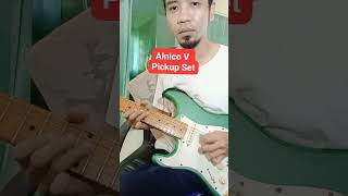 Alnico V Pickup Guitar [upl. by Shannan20]