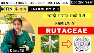 Rutaceae Family 🌼 Floral diagram and formulas  Taxonomy  Economic importance [upl. by Ilyssa]