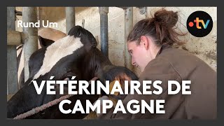 Rumipassion un service vétérinaire de campagne [upl. by Gastineau787]