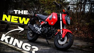 New Honda Grom 125 Review  Better than the Monkey Dax amp Super Cub Motorcycles [upl. by Ahsila]