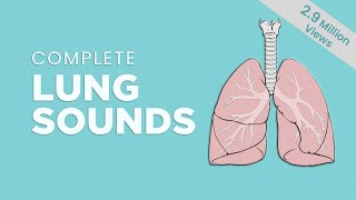 Complete Breath sounds NormalAbnormal Lung Sounds Types amp Conditions [upl. by Nnaasil]