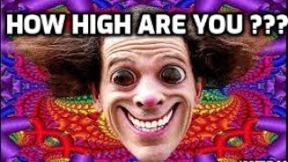 How High Are You    Funny Pot Sobriety Test Video [upl. by Anielram534]