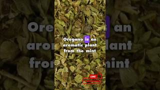 The Secret ImmuneBoosting Power of Oregano oregano superfood [upl. by Stephanus729]