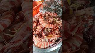 Tige prawn🦐 venuma makkalae [upl. by Eniamirt]