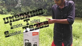 UNBOXING Impex Trolley Speaker TS25B [upl. by Aninaj649]