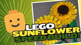 LEGO Sunflowers Building Toy Set 40524Speed Build [upl. by Atiniv816]