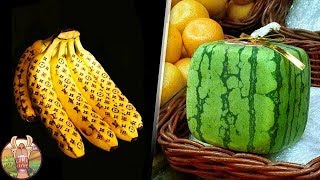 10 FRUITS QUE SEULS LES MILLIONNAIRES PEUVENT MANGER  Lama Faché [upl. by Raoul]