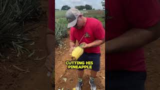 You Won’t Believe How This Guy Cuts a Pineapple [upl. by Anniroc]