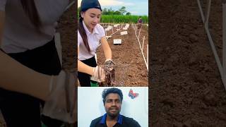 🤔மண்புழு விவசாயம்⁉️  Earthworm Farming🪱 trending vermicompost worm farming agriculture shorts [upl. by Laenaj247]