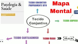 Histologia  Tecido conjuntivo principais componentes [upl. by Fax]