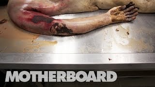 Reviving Dead Bodies in Mexico Trailer [upl. by Elakram]