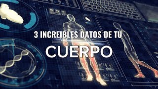 3 Datos Increíbles del Cuerpo Humano 🧠👀 ¡Te Sorprenderán [upl. by Kinna]