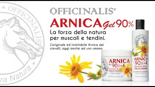 ARNICA 90 ti spiego [upl. by Langsdon]